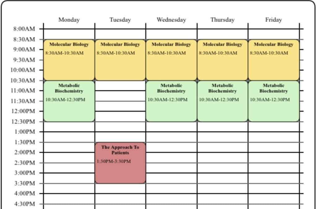 University of Padova 1st year timetable